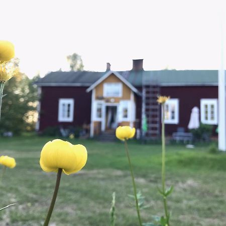 Paeivin Pirtti - Pirttikahvila Ja B&B Luosto Exterior foto